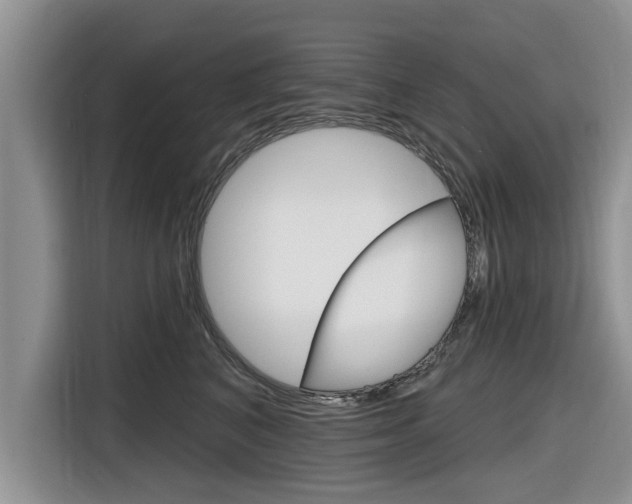 X0000116830616200912181055