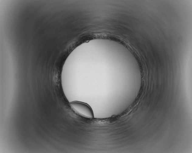X0000116830619200912181055