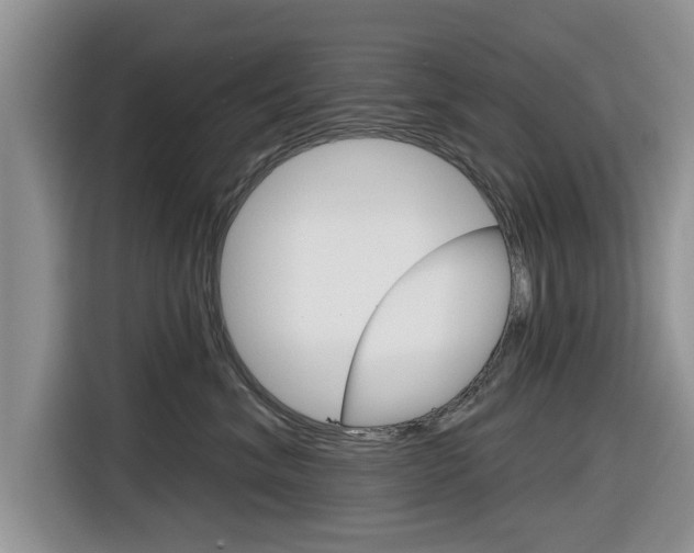 X0000116830620200912181055