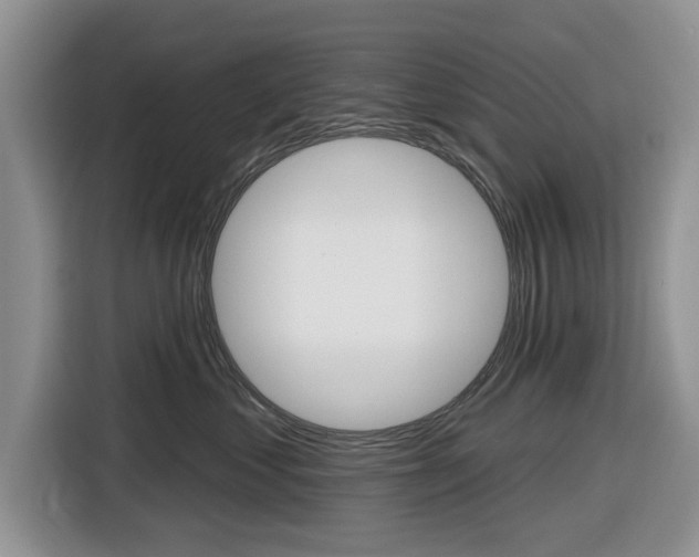 X0000116830621200912181055