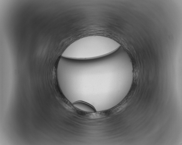 X0000116830623200912181055
