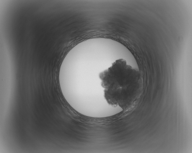X0000116830624200912181055