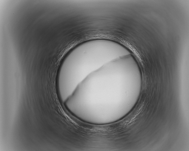 X0000116830625200912181055