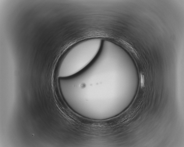 X0000116830627200912181055