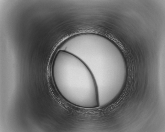 X0000116830628200912181055