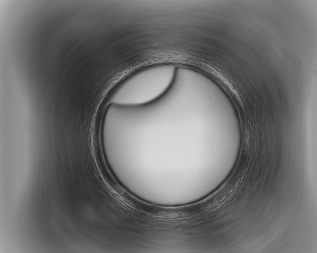 X0000116830629200912181055