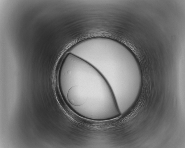 X0000116830630200912181055
