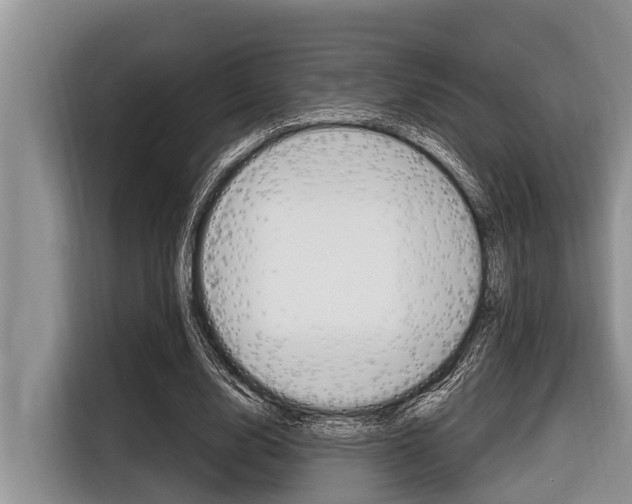 X0000116830632200912181055