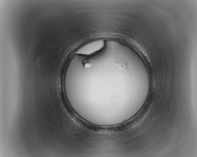 X0000116830633200912181055