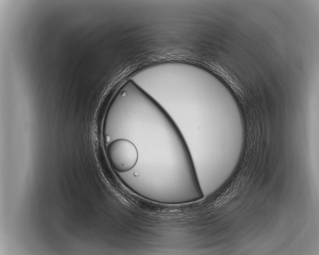X0000116830634200912181055
