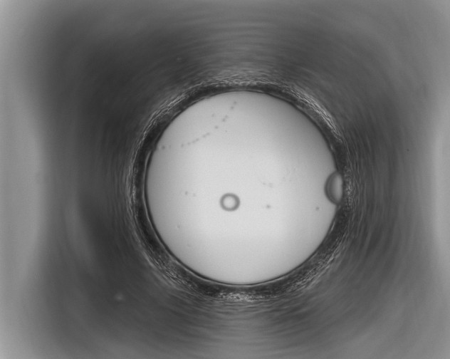 X0000116830635200912181055