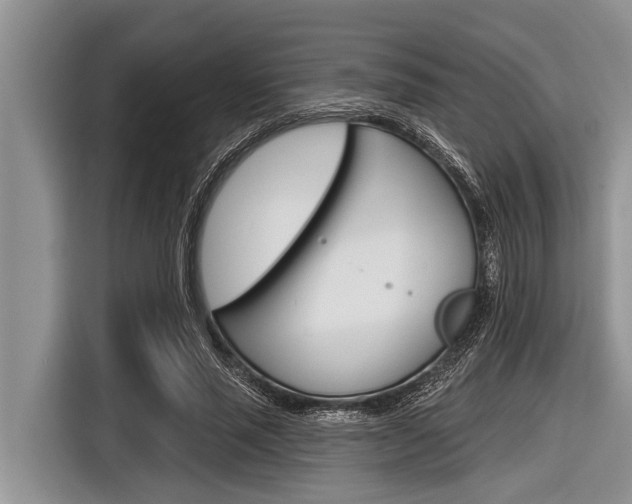 X0000116830637200912181055
