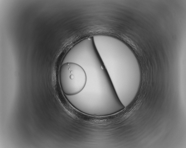 X0000116830638200912181055