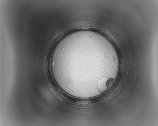 X0000116830639200912181055