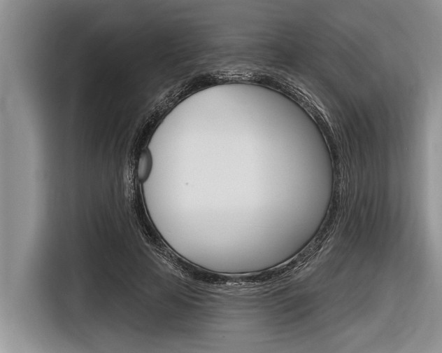 X0000116830641200912181055