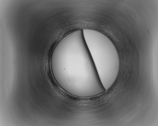X0000116830642200912181055