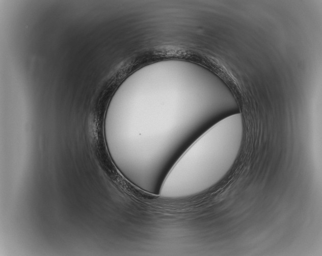 X0000116830643200912181055