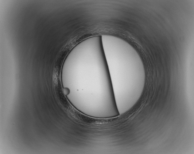 X0000116830644200912181055