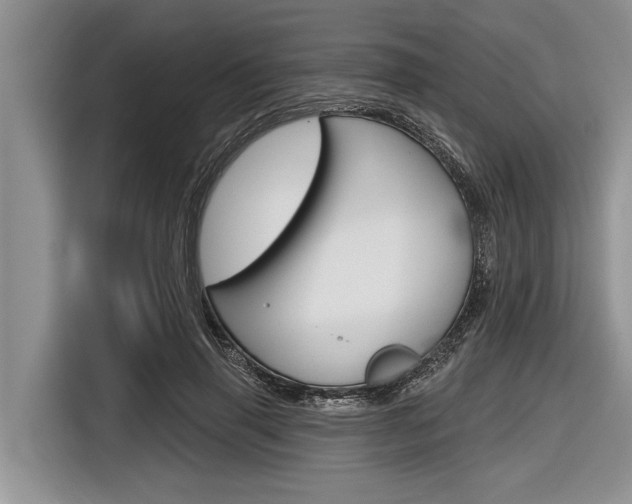 X0000116830645200912181055