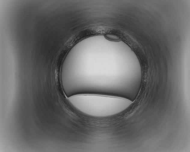 X0000116830646200912181055
