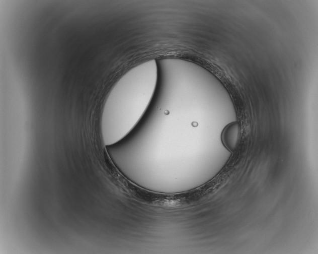 X0000116830647200912181055