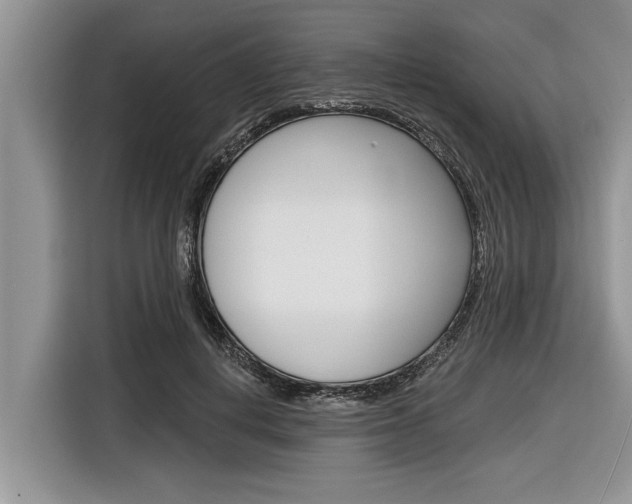 X0000116830648200912181055