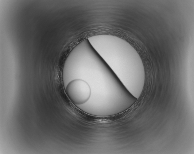 X0000116830654200912181055
