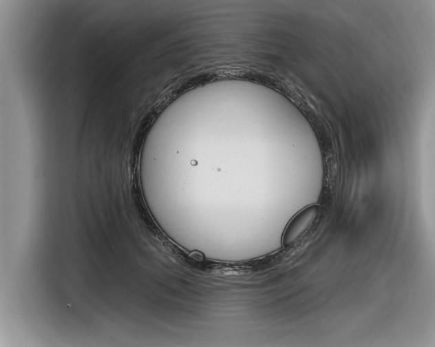 X0000116830655200912181055