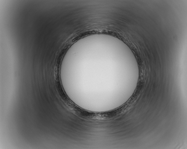 X0000116830656200912181055