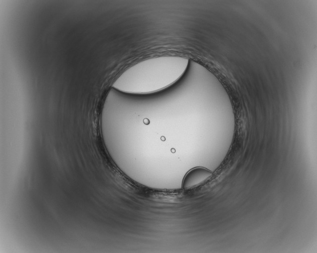 X0000116830661200912181055