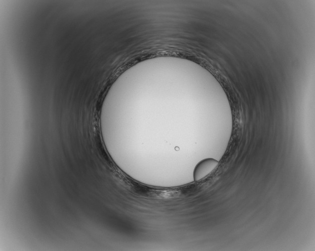 X0000116830663200912181055