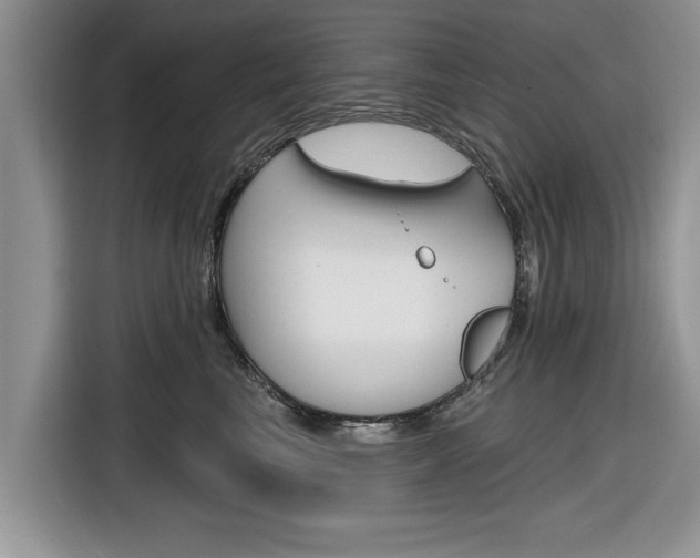 X0000116830665200912181055
