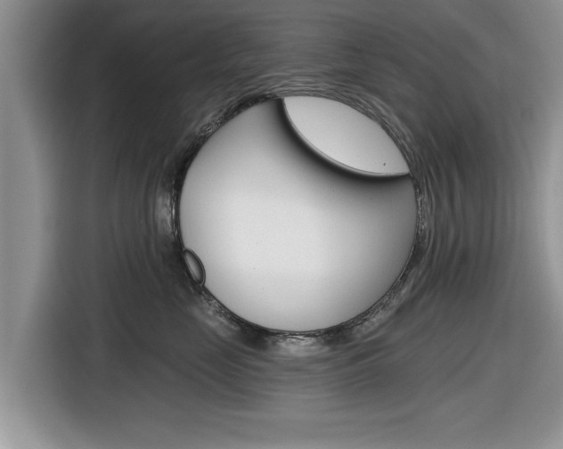 X0000116830669200912181055