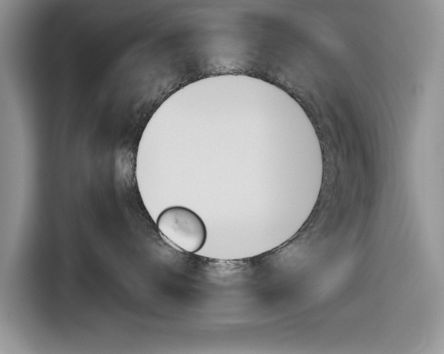 X0000116830672200912181055