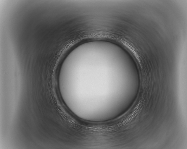 X0000116830673200912181055