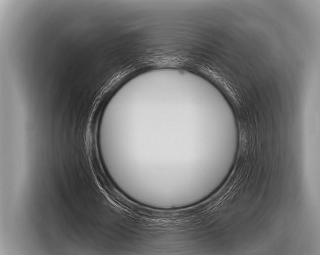X0000116830674200912181055