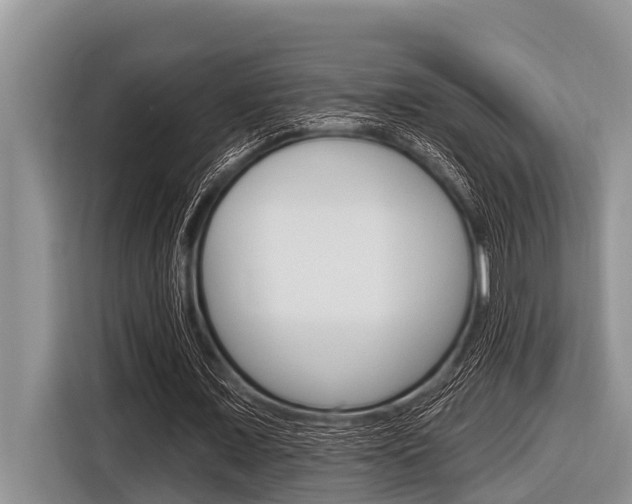 X0000116830675200912181055