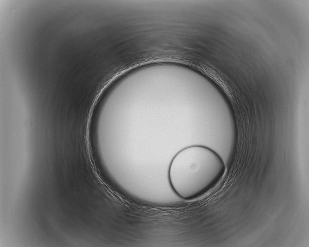 X0000116830676200912181055