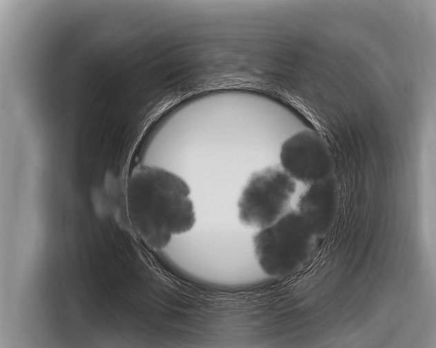 X0000116830679200912181055