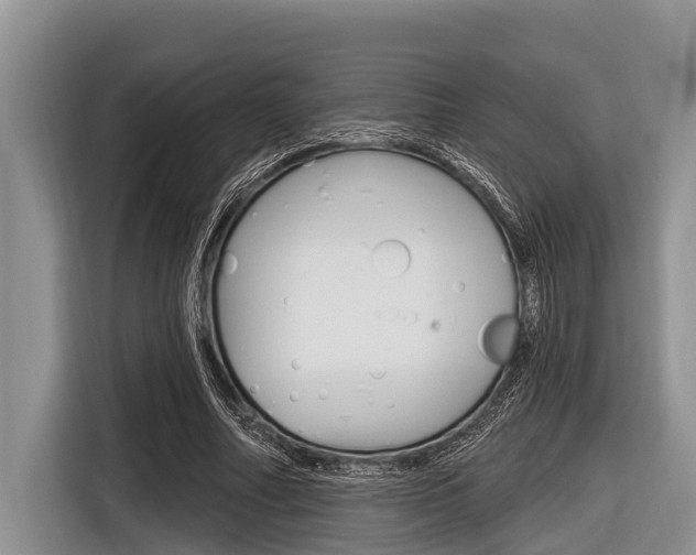 X0000116830682200912181055