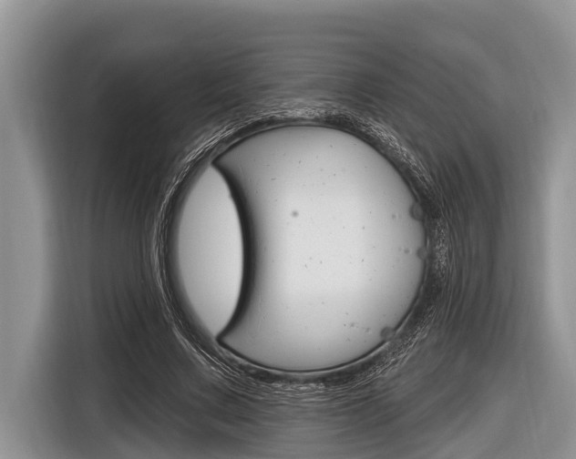 X0000116830683200912181055
