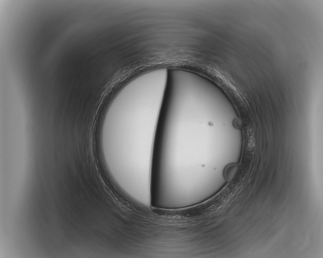 X0000116830685200912181055