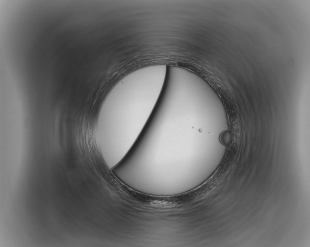 X0000116830699200912181054