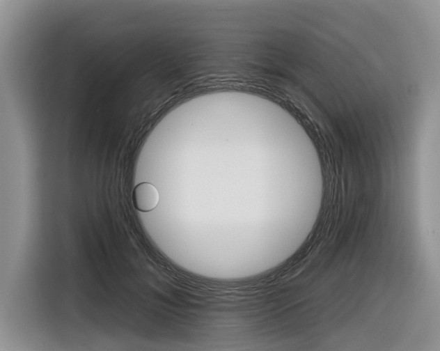 X0000116830700200912181054