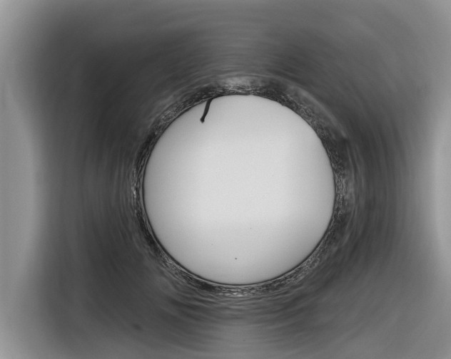X0000116830702200912181054