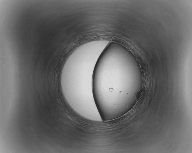 X0000116830704200912181054
