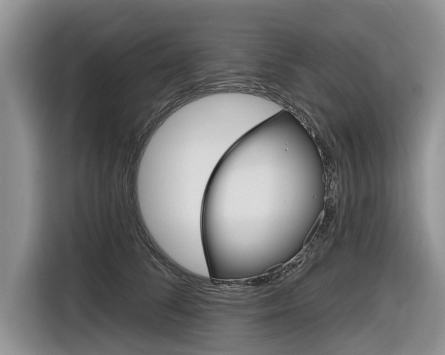 X0000116830708200912181054