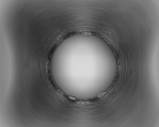 X0000116830712200912181054