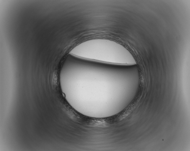 X0000116830715200912181054