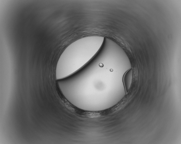 X0000116830719200912181054